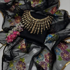 2-Piece Luxury Organza Dress – Handwork Stones & Beads Shirt with Oil-Painted Zaari Dupatta