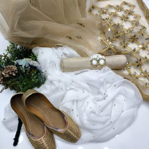 New Fancy 4PC Chiffon Dress – Bindi & Mirror Embroidery Work + Earrings & Khussa Gift