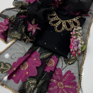 2-Piece Dress – Handwork Stones & Beads Organza Shirt with Zari Beads Oil Paint 4-Side Lace Dupatta